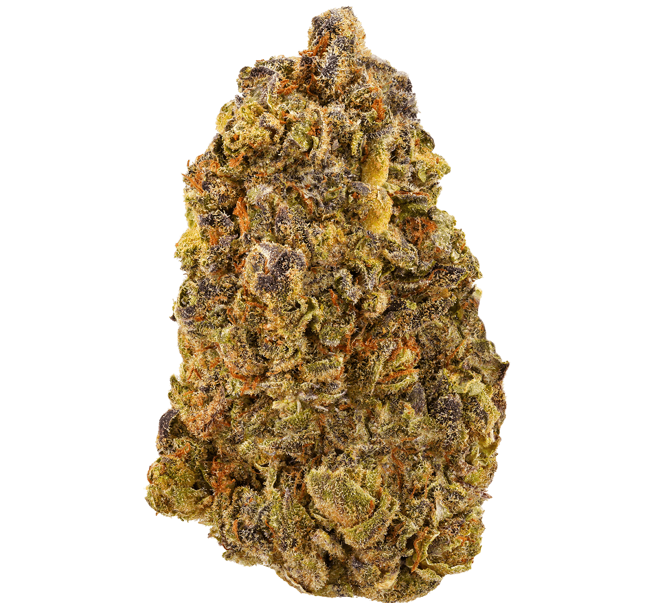Ice-Cream-Pie-Strain (2) Ice Cream Pie Strain