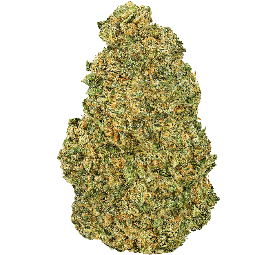 Hash-Burger-Strain Hash Burger Strain
