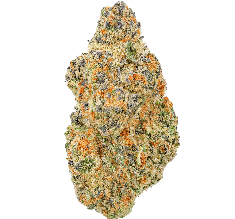 Junglato Strain Junglato Strain