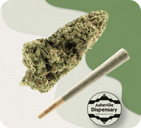 THCa Pre Roll: Gelato 1 gelato thca pre roll asheville dispensary