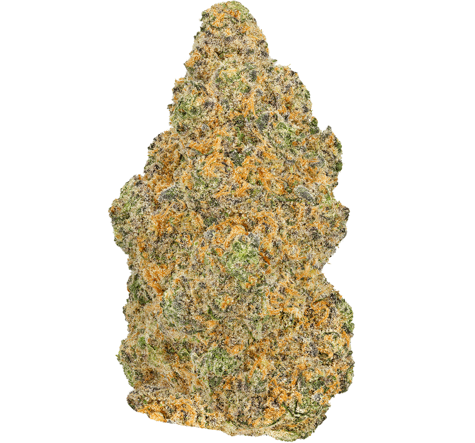 Cherry-Punch-Strain Cherry Punch Strain