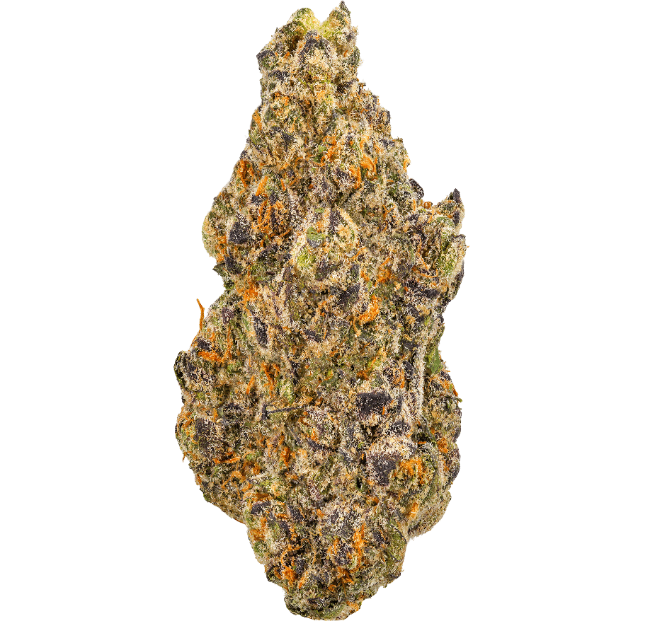 Gas-Face-Strain (1) Gas Face Strain