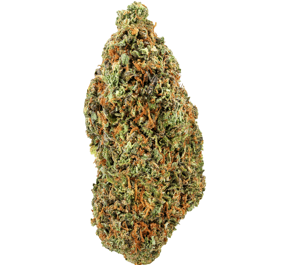 Yellow-Cake-Strain (1) Yellow Cake Strain