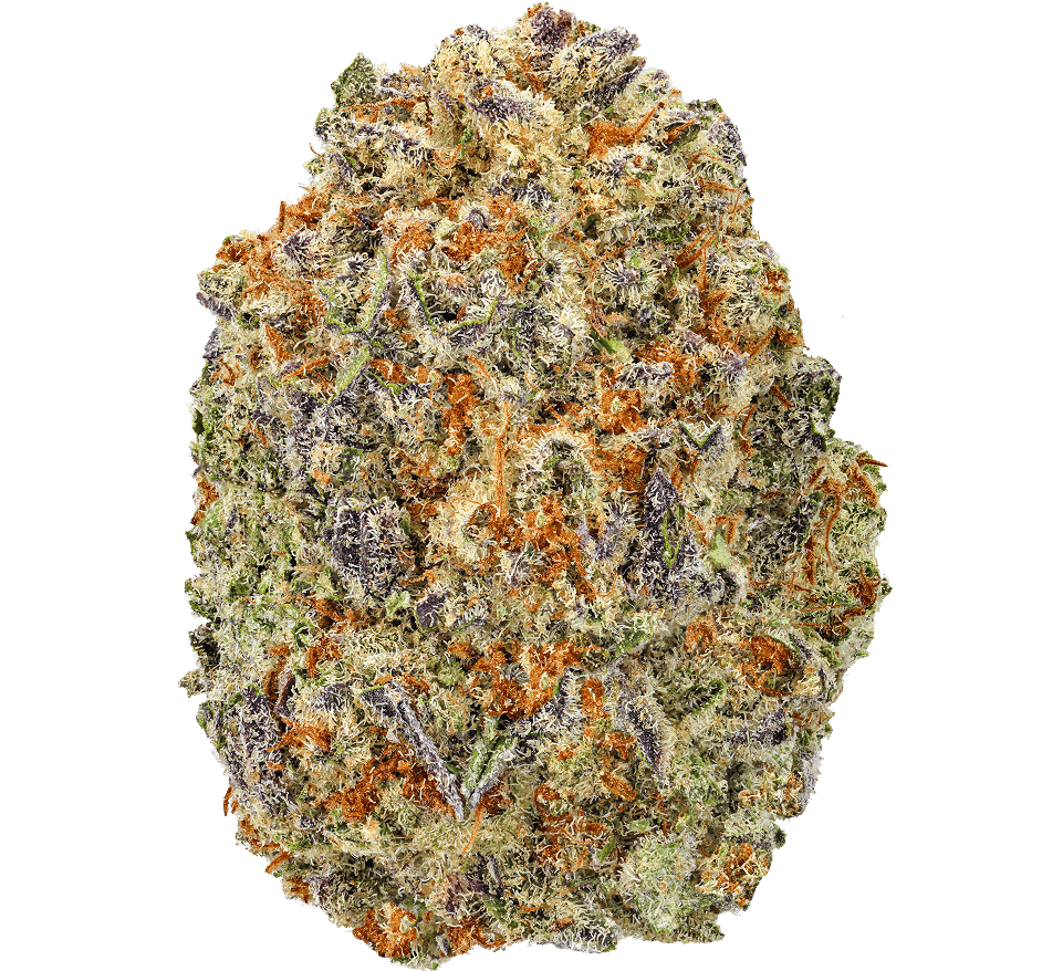 Pink-Certz-Strain (1) Pink Certz Strain